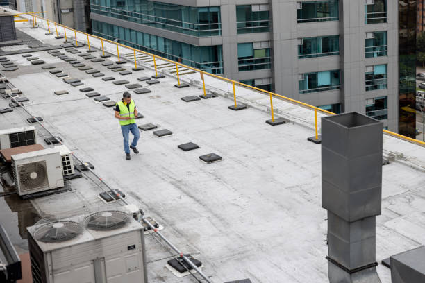 Best Metal Roofing Installation  in Ainaloa, HI